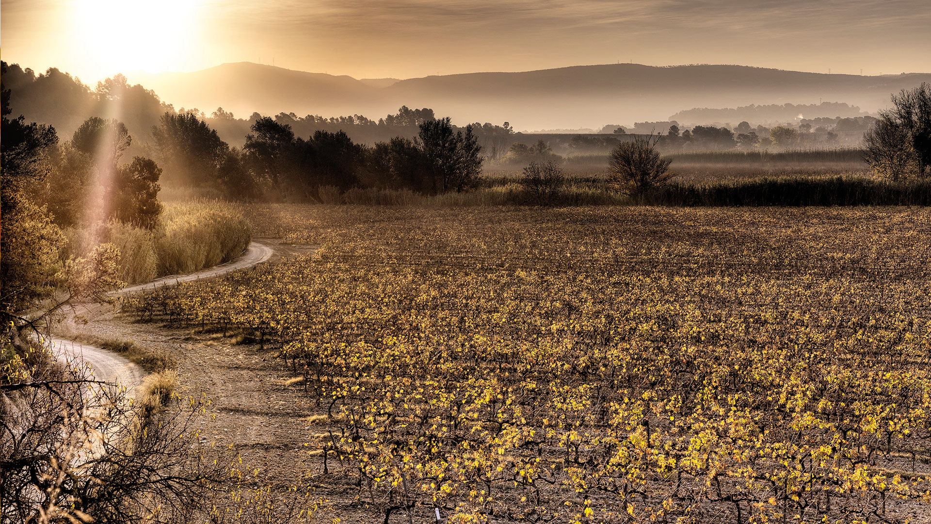 La región de la Rioja image